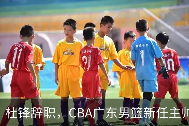 杜锋辞职，CBA广东男篮新任主帅候选浮出水面，但最佳选择却未在其中